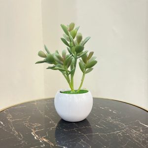 small planter pots